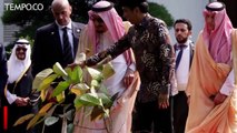 Pengawal Pribadi Raja Salman Tewas Tertembak