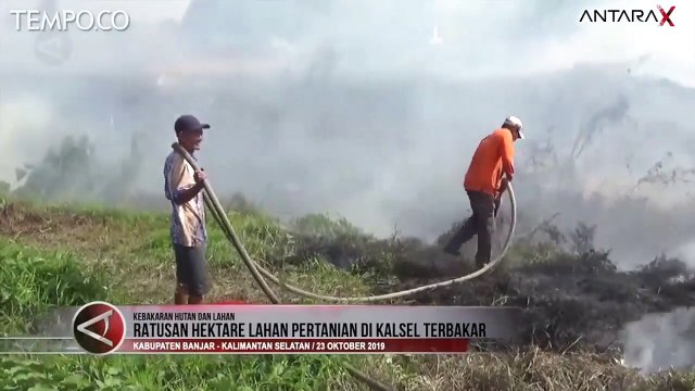 Ratusan Hektare Lahan Pertanian di Kalsel Terbakar