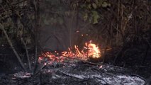 Bursa'da ağaçlık alanda çıkan yangın söndürüldü
