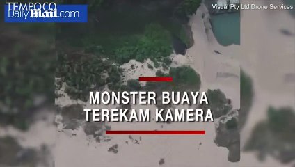 Pilot Drone Mengaku Rekam Monster Buaya  7 Meter, Ini Penampakannya