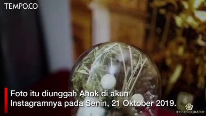 Video Ahok dan Puput Nastiti Devi saat Sesi Foto Pernikahan