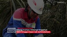 Segudang Pekerjaan Besar untuk Komisaris Pertamina