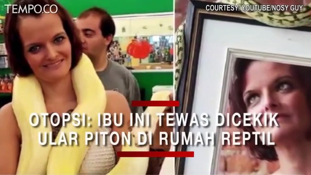 Hasil Otopsi, Ibu Ini Tewas Dicekik Ular Piton di Rumah Reptil Berisi 140 Ekor Ular