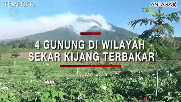 Gunung Ranti dan 3 Gunung di Wilayah Sekar Terbakar, 9 Pendaki Terjebak
