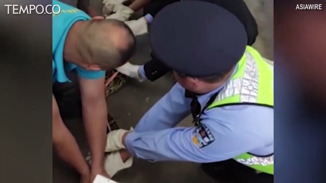Ular Piton Tabrak Langit-langit Spa setelah 10 Tahun Ngumpet di Eternit