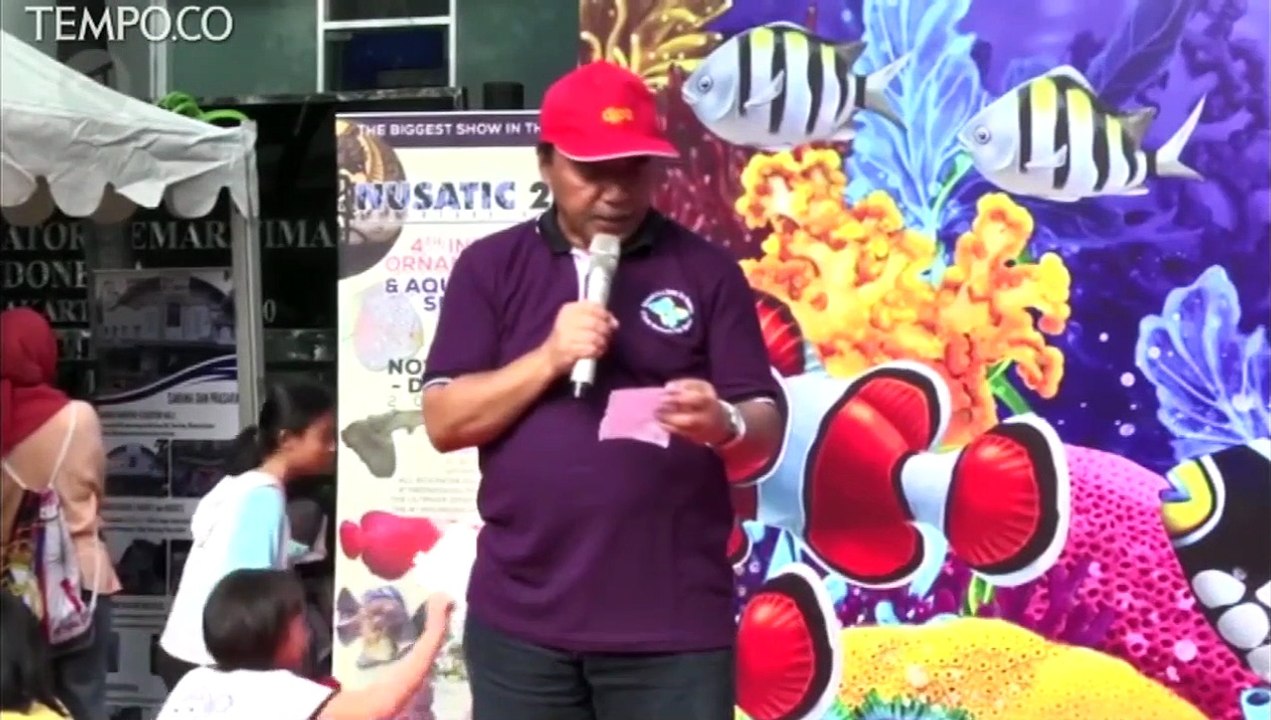 KKP Targetkan Peningkatan Ekspor Ikan Hias