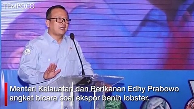 Kritik Soal Ekspor Benih Lobster, Edhy Prabowo Angkat Bicara