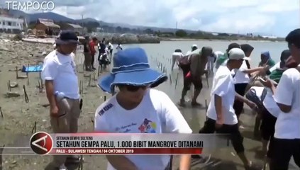Menanam Bibit Mangrove Tandai Setahun Bencana di Palu