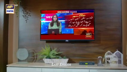 Woh Pagal Si Last Episode