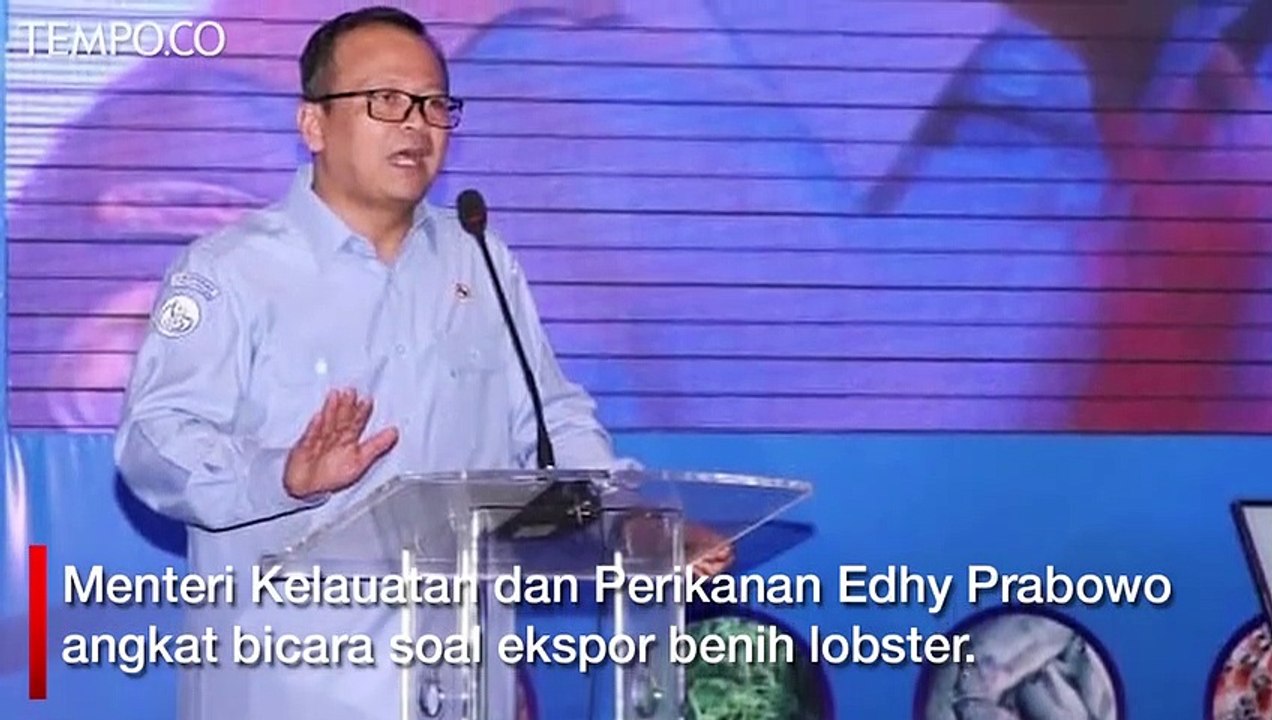 Kritik Soal Ekspor Benih Lobster, Edhy Prabowo...