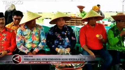 Kotawaringin Timur Kembangkan Potensi Jagung Petani Lokal