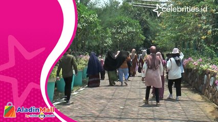 Yuk Liburan ke Ekowisata Mangrove Medokan Ayu, Wisata Keren di Timur Surabaya