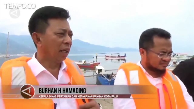 Ratusan Nelayan di Palu Melaut Gunakan Elpiji