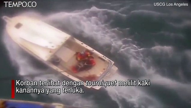 Momen Dramatis, Penjaga Pantai Selamatkan Peselancar yang Digigit Hiu