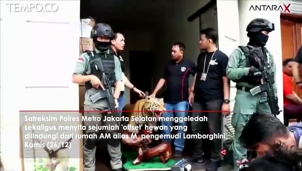Rumah Pengemudi Lamborghini Digeledah, Disita Satwa Dilindungi