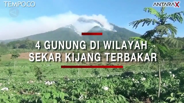 4 Gunung di Wilayah Sekar Kijang Terbakar, 9 Pendaki Terjebak