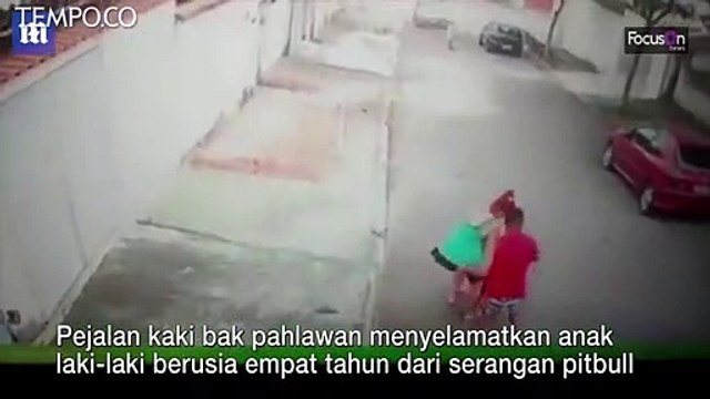 Mengerikan, Pria Ini Berjuang Selamatkan Balita dari Serangan Anjing Pitbull