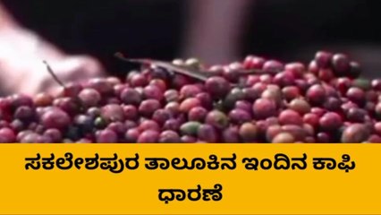 ಹಾಸನ ; ಇಂದಿನ ಕಾಫಿ ಧಾರಣೆ ಹೇಗಿದೆ ಗೊತ್ತಾ?