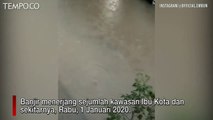 Teror Ular Piton saat Banjir Menerjang Jakarta dan Sekitarnya
