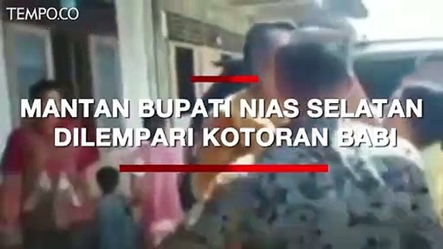 Viral saat Mantan Bupati Nias Selatan Dilempari Kotoran Babi