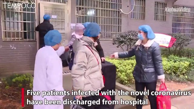 Bayi 7 Bulan Pasien Corona di Hunan Dinyatakan Sembuh