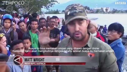 Pakar Reptil Australia Gagal Pancing Buaya Berkalung Ban