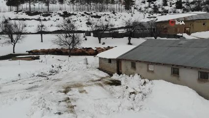 Yüksek kesimler beyaza büründü besicilerin kış sezonu başladı