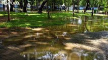 Monas Banjir, Diduga Gara-gara Program Sumur Resapan DKI