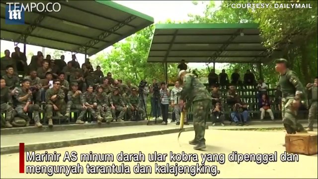 Detik-detik Mendebarkan, Marinir AS Sergap dan Tundukkan Ular Kobra