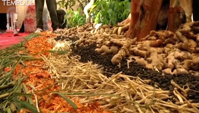 Menkes Terawan Dorong Pentingnya Minum Jamu Bagi Kesehatan