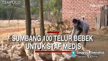 Orang Desa Miskin Sumbang 100 Ekor Bebek untuk Staf Medis
