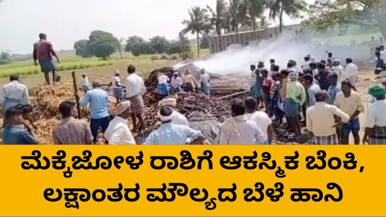 ನೆಗಳೂರು: ಮೆಕ್ಕೆಜೋಳದ ರಾಶಿಗೆ ಬೆಂಕಿ, ಲಕ್ಷಾಂತರ ಮೌಲ್ಯದ ಬೆಳೆ ಹಾನಿ