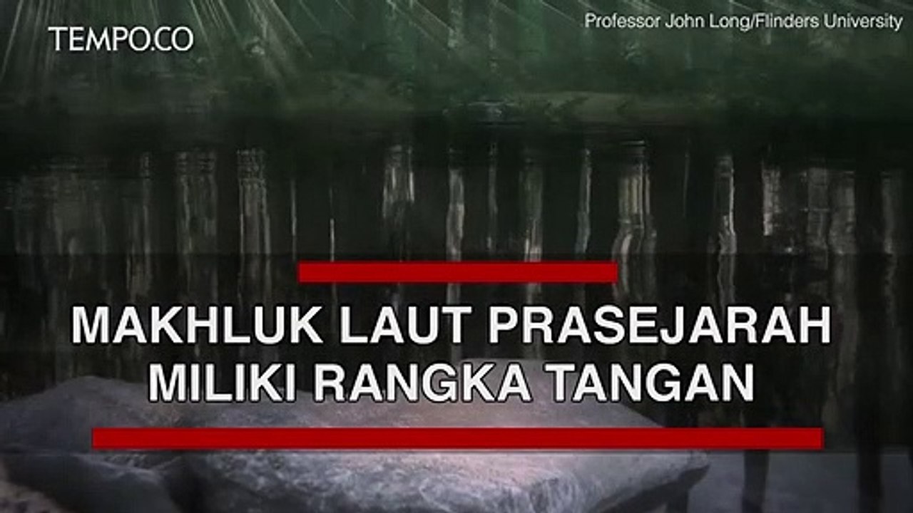 Makhluk Laut Prasejarah, Berenang di Laut, Berjalan di Darat, Ini Misterinya