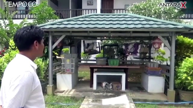 BKSDA Kalbar tampung hewan-hewan yang akan diselundupkan ke Malaysia