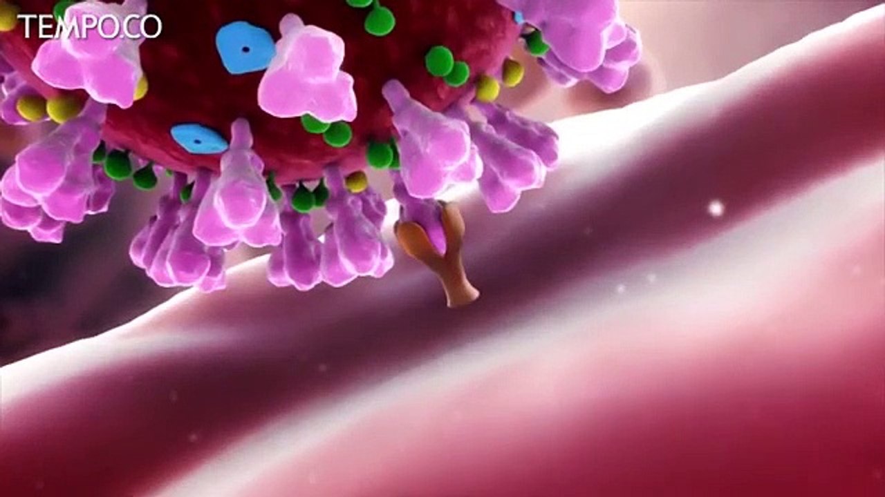 Amin Soebandrio: Virus Corona Tidak Bisa Dibatasi Geografis