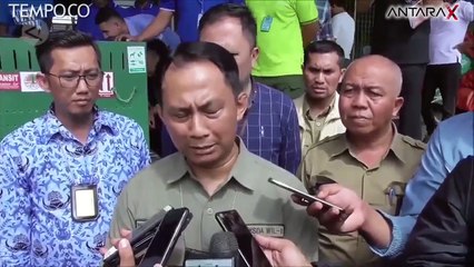 Bayi Orangutan Disita dari Warga Rusia