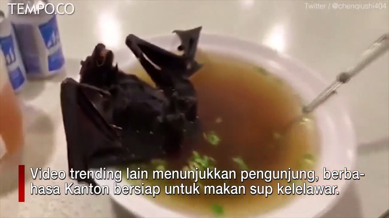 Video Viral Wanita Cina Makan Sop Kelelawar saat Virus Corona Menyebar
