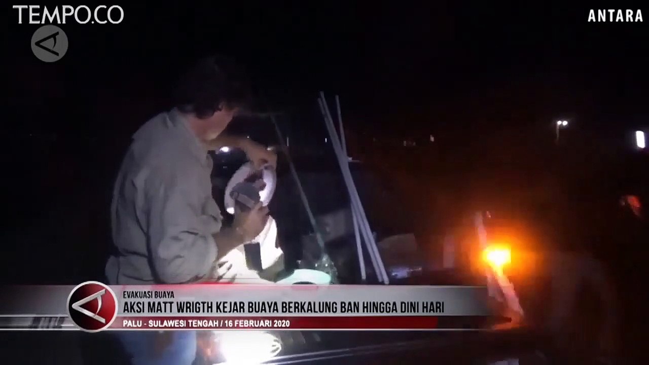 Pakar Reptil Australia Kejar Buaya Berkalung Ban sampai Dini Hari