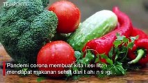 Pandemi Corona, Boleh Stok Frozen Food Asal...