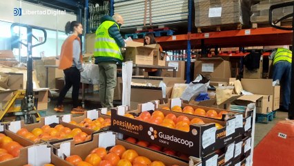 La inflación se ceba con los bancos de alimentos: "Cada vez atendemos a más gente con trabajo"