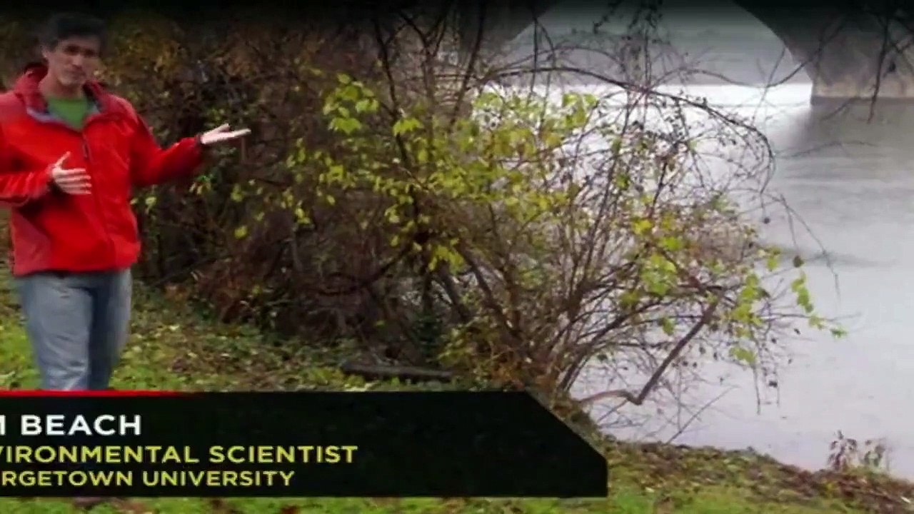 Zukunft ohne Menschen Staffel 1 Folge 3 HD Deutsch