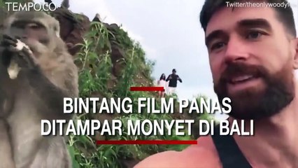Kunjungi Bali, Bintang Film Panas Woody Fox Ditampar Kera saat Selfie