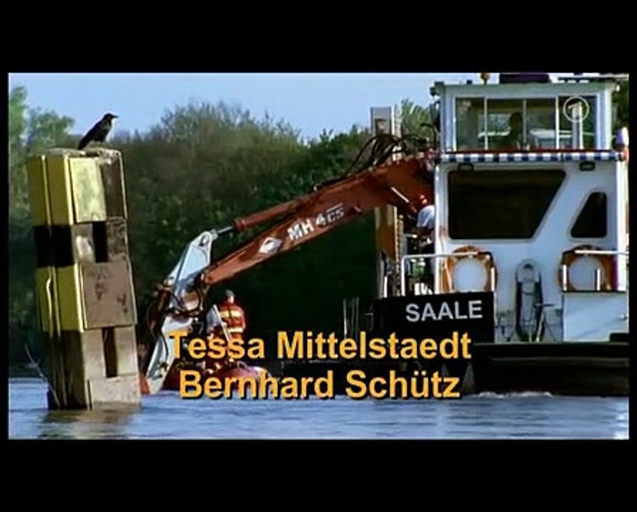 Polizeiruf 110 Staffel 36 Folge 9 - Part 01 HD Deutsch