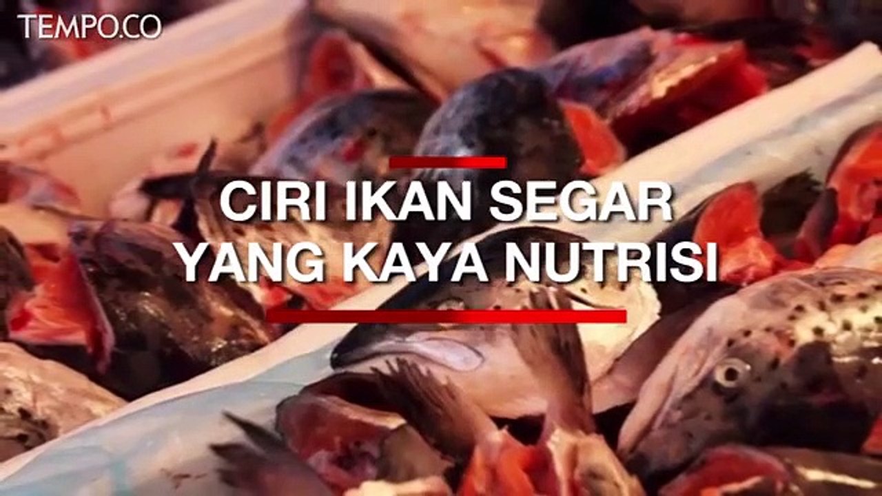 5 Ciri Ikan Segar Kaya Nutrisi yang Layak Dikonsumsi