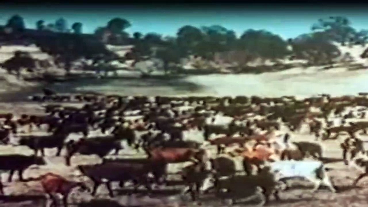 Die Leuteder Shiloh Ranch Staffel 5 Folge 16 - Part 01 HD Deutsch