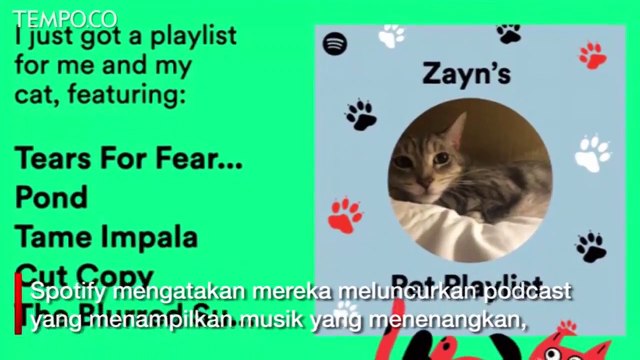 Spotify Bikin Daftar Lagu dan Podcast Bagi Hewan Peliharaan