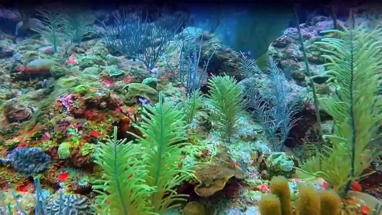 Tödliche Naturgewalten Staffel 1 Folge 5 HD Deutsch