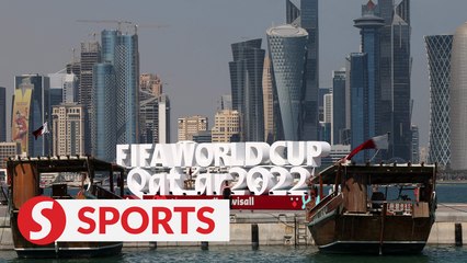 Qatar welcomes more than 900 daily flights for World Cup