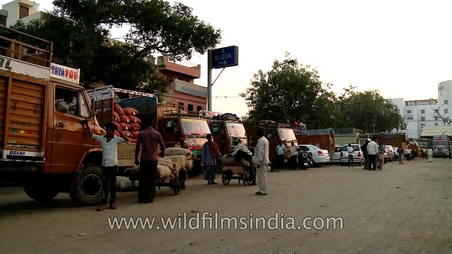 Manual downloading and uploading of goods at Azadpur mandi!