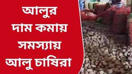বীরভূমঃ আলুর দাম কম,চিন্তায় আলু চাষীরা